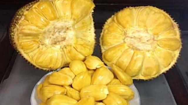 菠萝蜜果肉